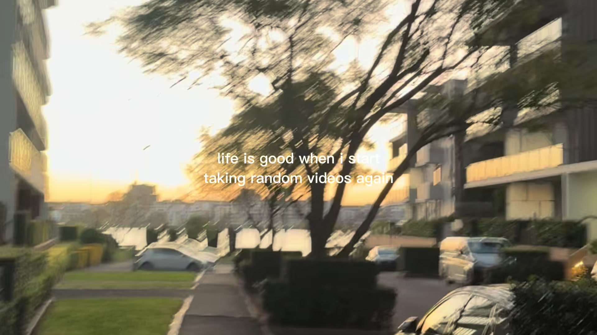 @nary.cactus
