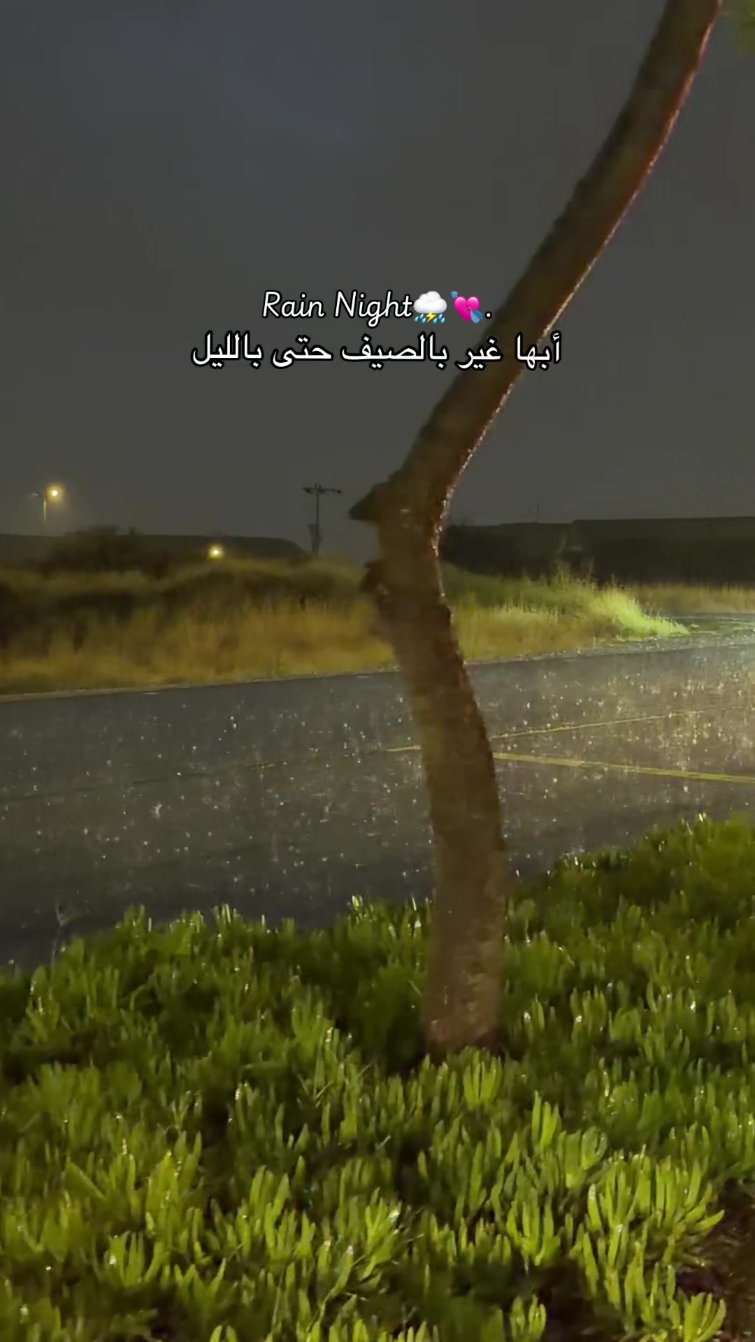 @𝐹𝑎𝑦 𝐵𝑙𝑜𝑔𝑔🌤️.