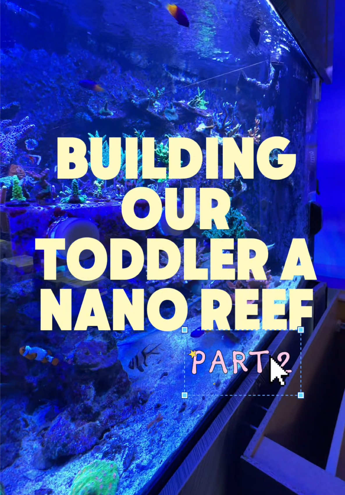 @Amanda | Toddler Girl Mom