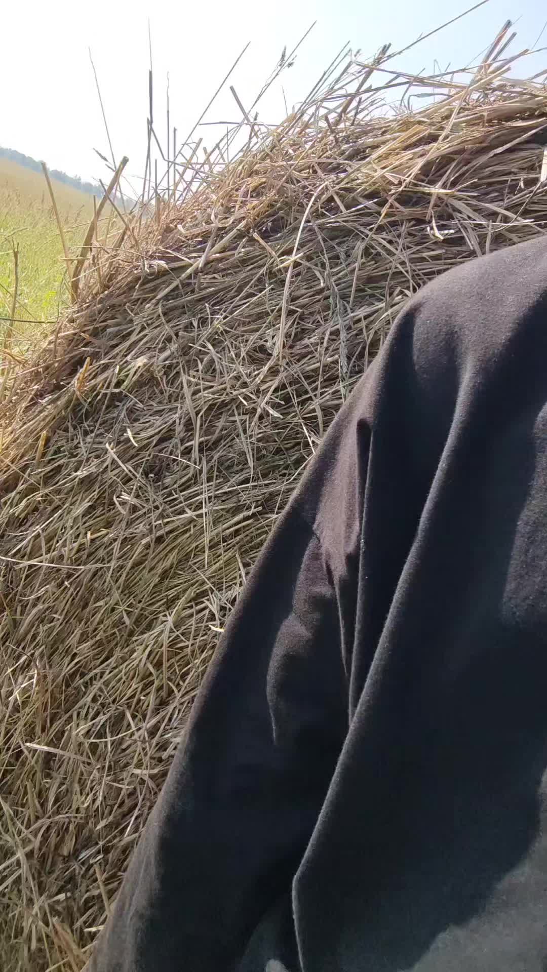 @saise101
