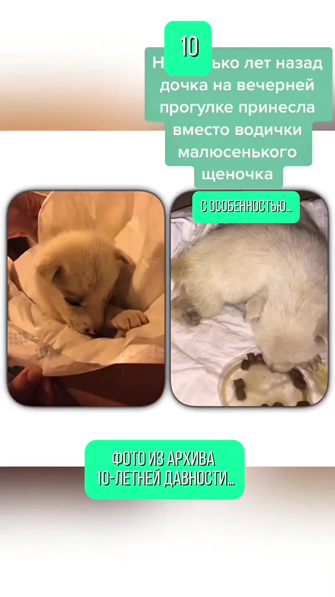 @𝙺𝚁𝙸𝚂 𝚅𝚘 𝚁𝚗𝙳🤩