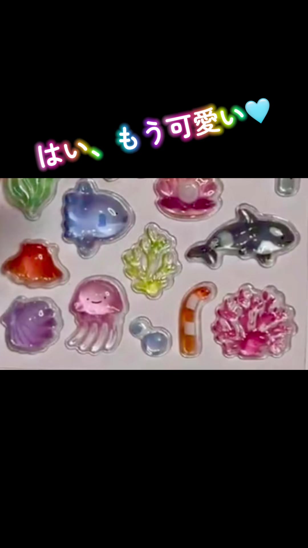 @️シャチが癒し️🌈️️🫧