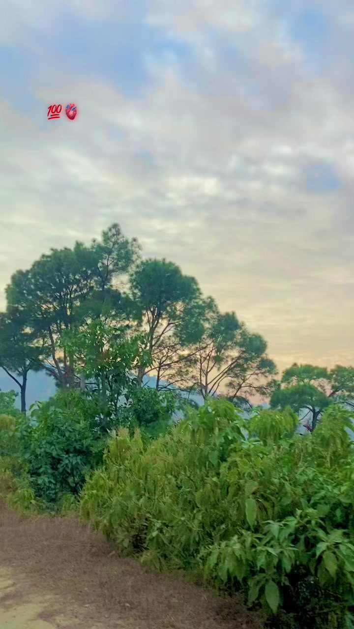 @🇬🇧عشاء