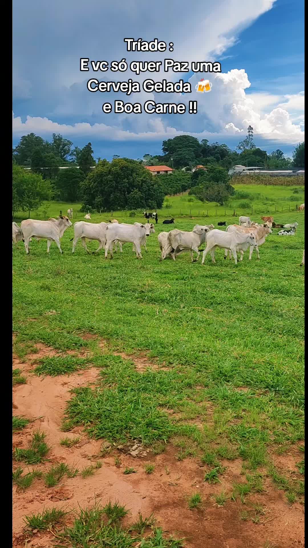 @André Miranda
