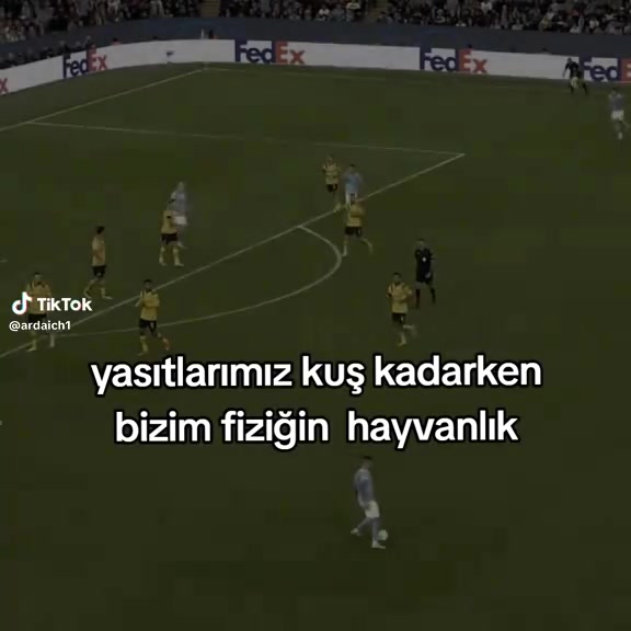 @Editar
