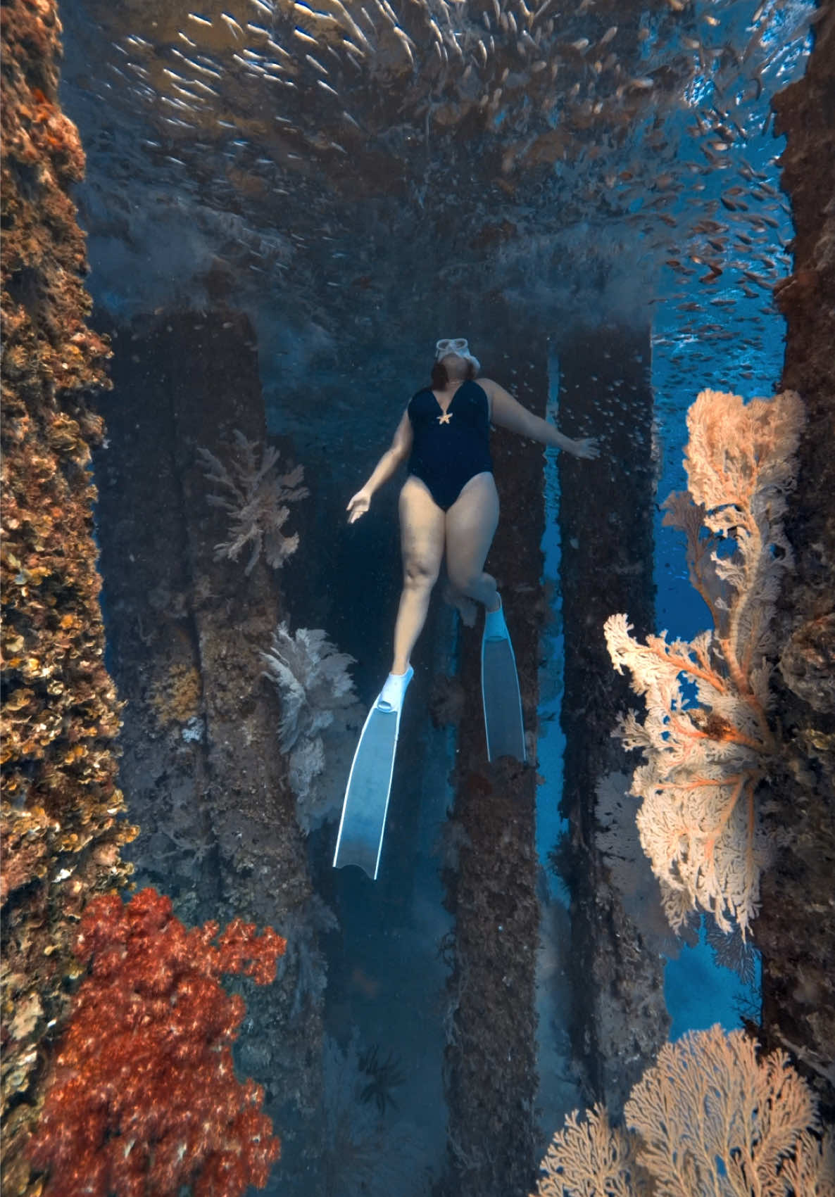 @@voltamazingfreediver