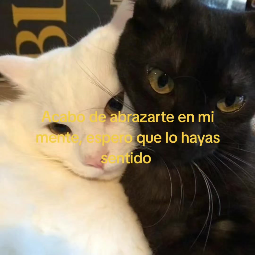 @goodvibessxd