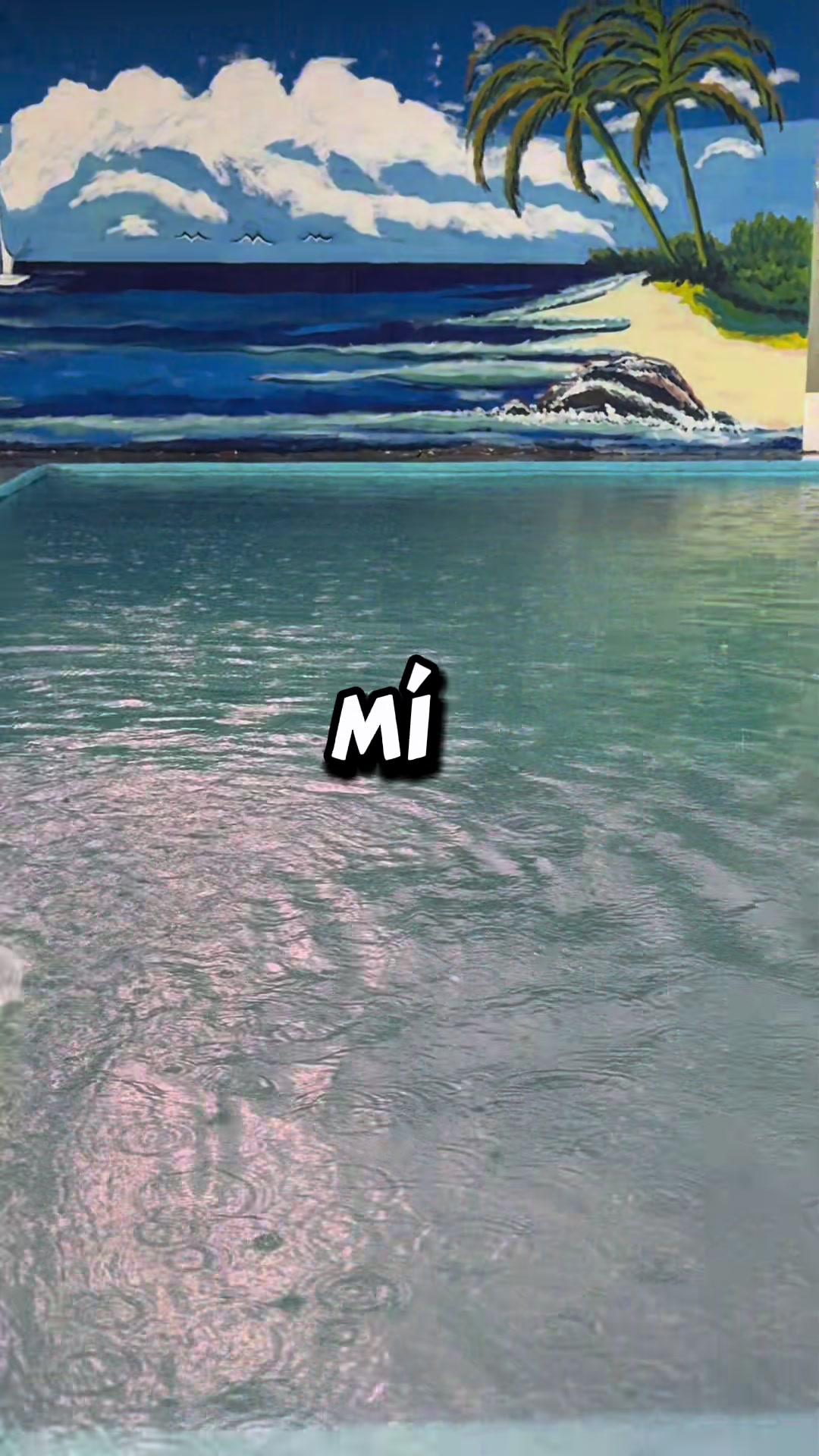 @Sol