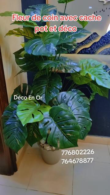 @DECO EN OR