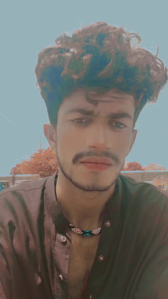 @sheehzadjan19