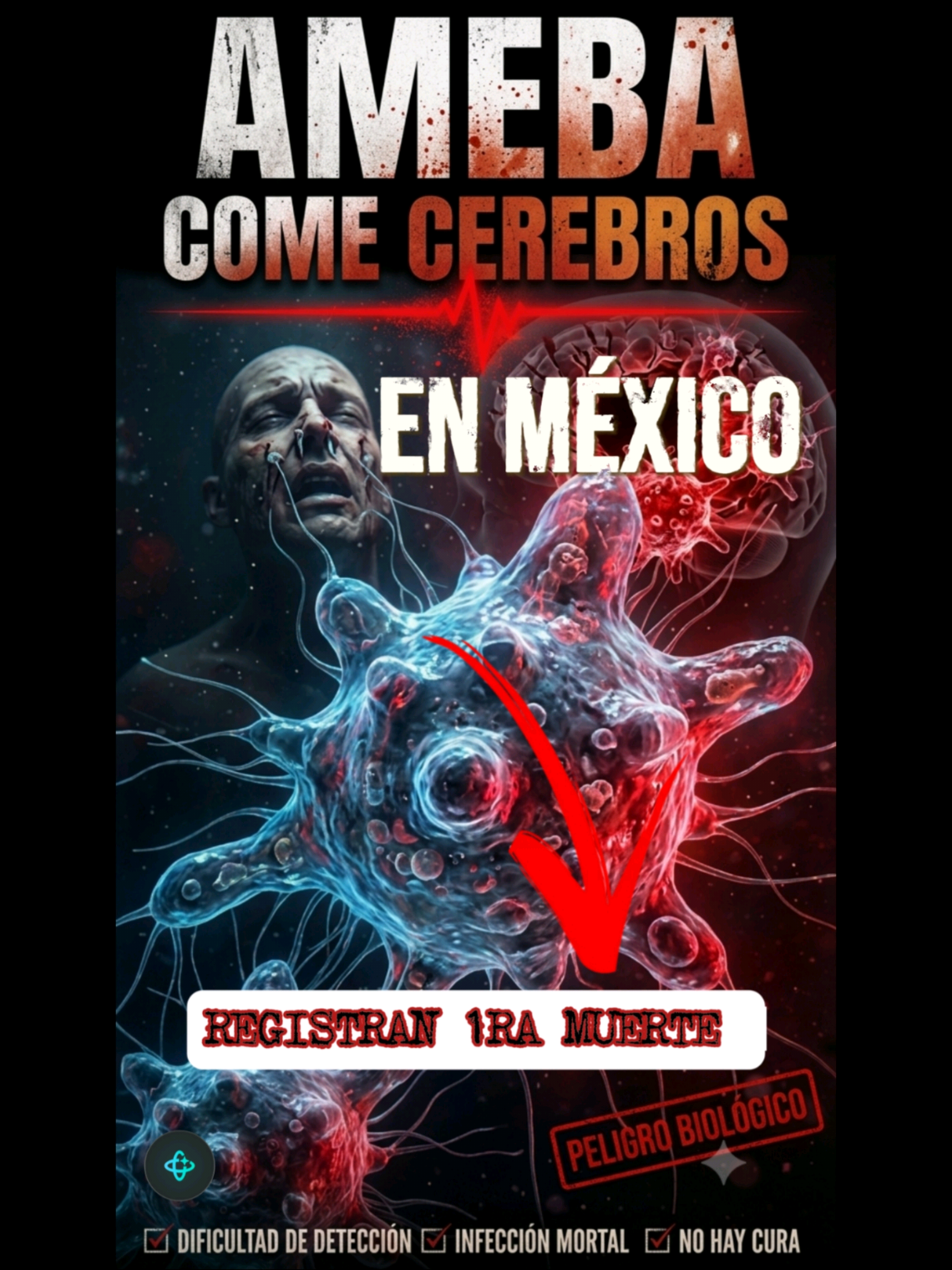@Dr Toto en Redes | médico