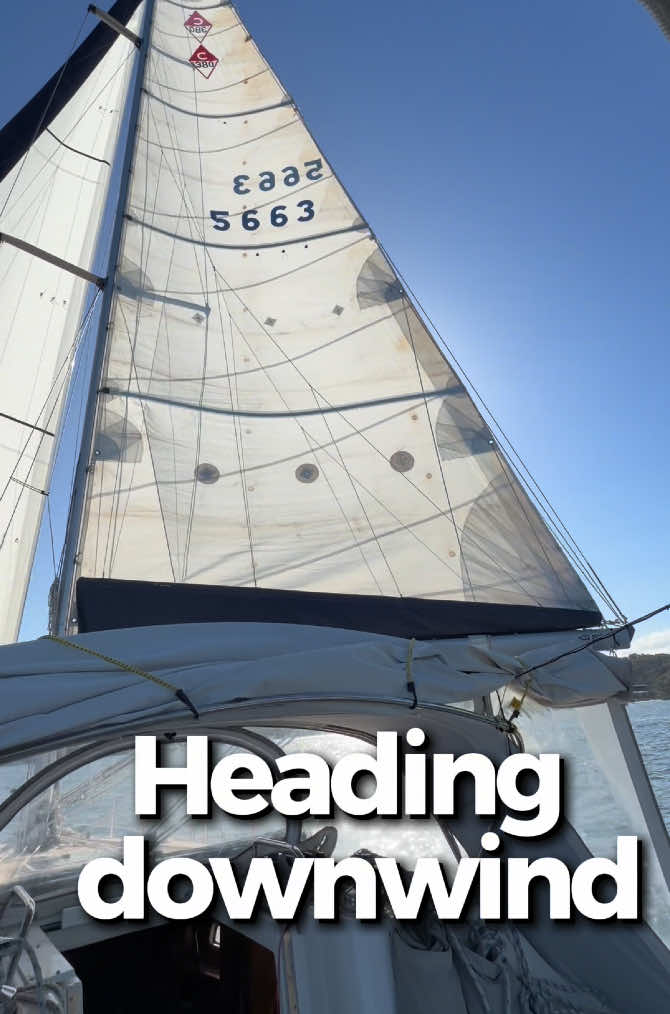 @treasure_sailing