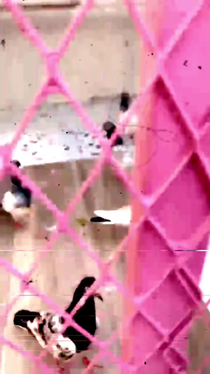 @A🖤oye