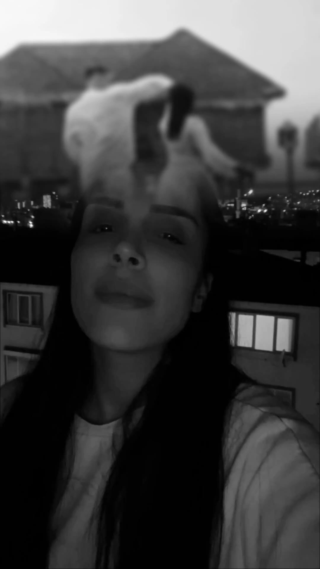 @Seda.Tripkolic