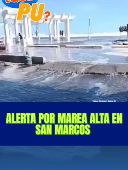 @Que Pu