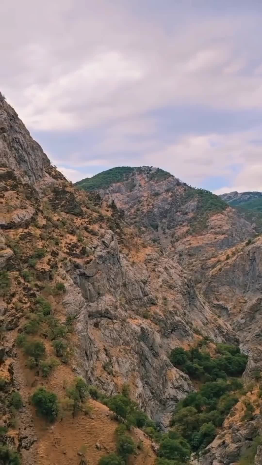 @devran🕊️