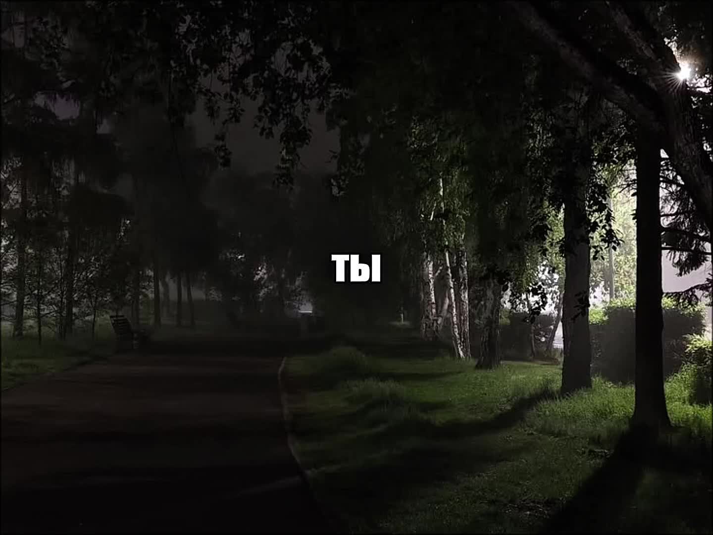 @𝐓𝐑𝐈𝐁𝐋𝐄𝐗