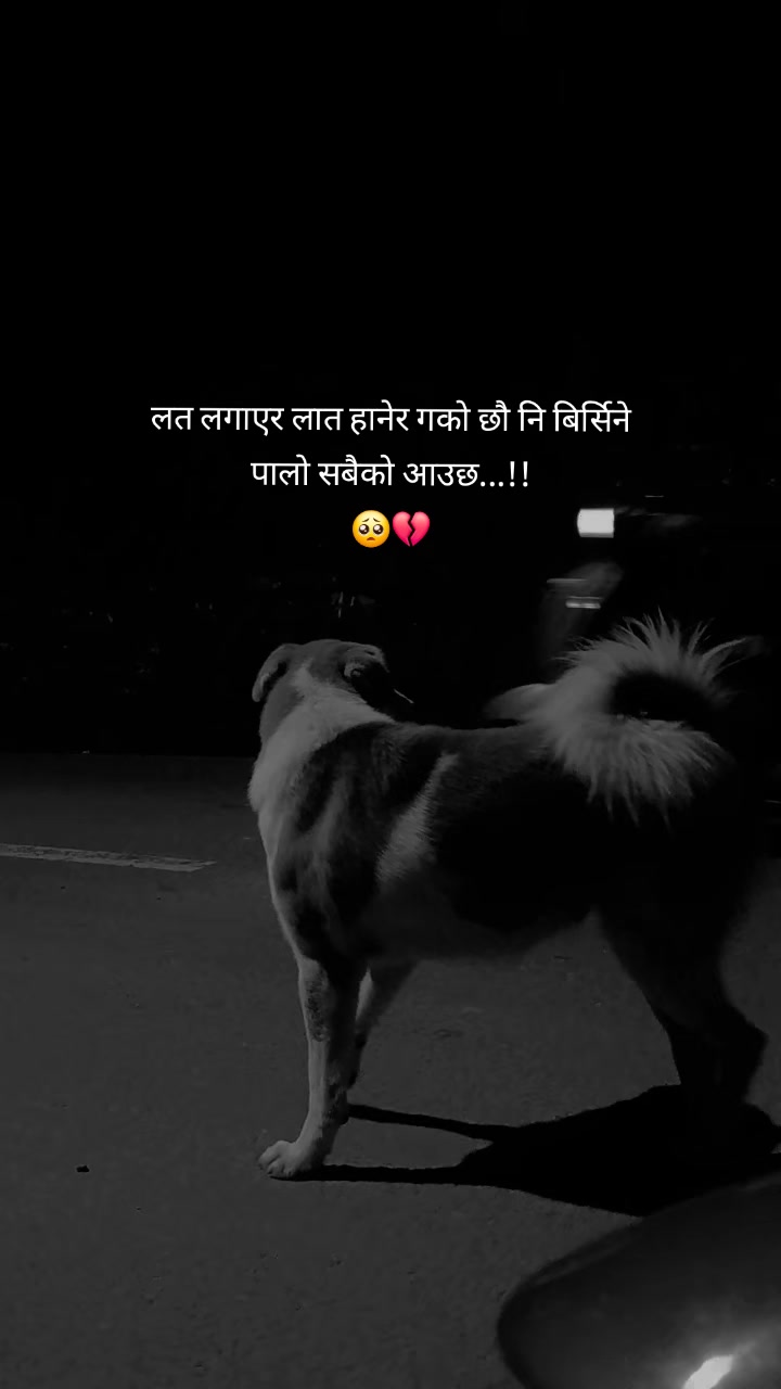 @साझँ!ᥫ᭡