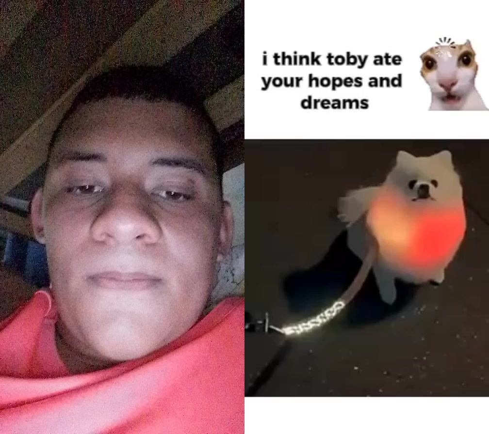 @Lucas Vicente De Silva