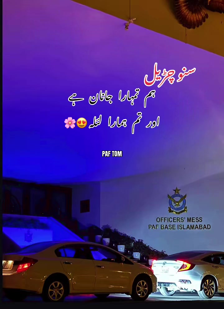 @𝑷𝑨𝑭 𝑻𝑶𝑴 👮🏻✈️🇵🇰