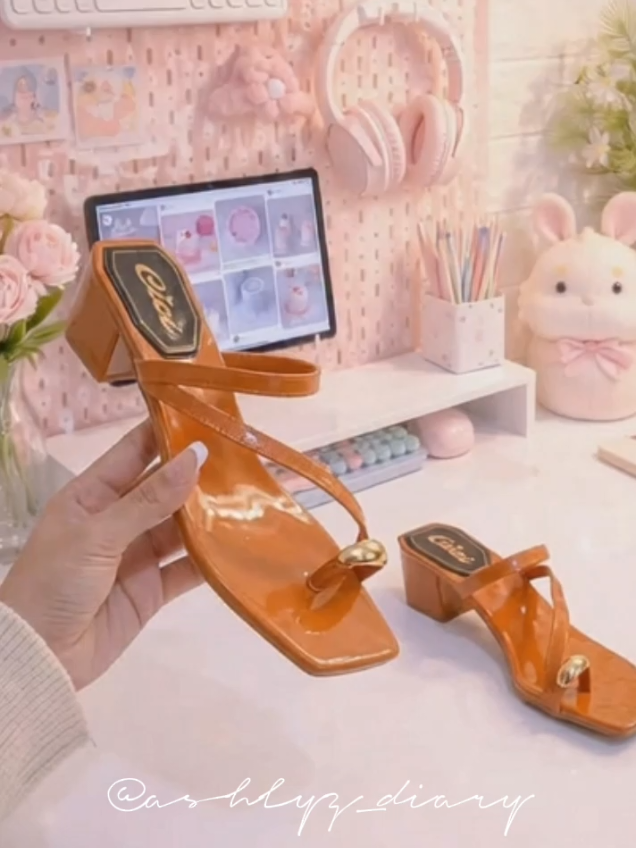 @ashlyz_diary