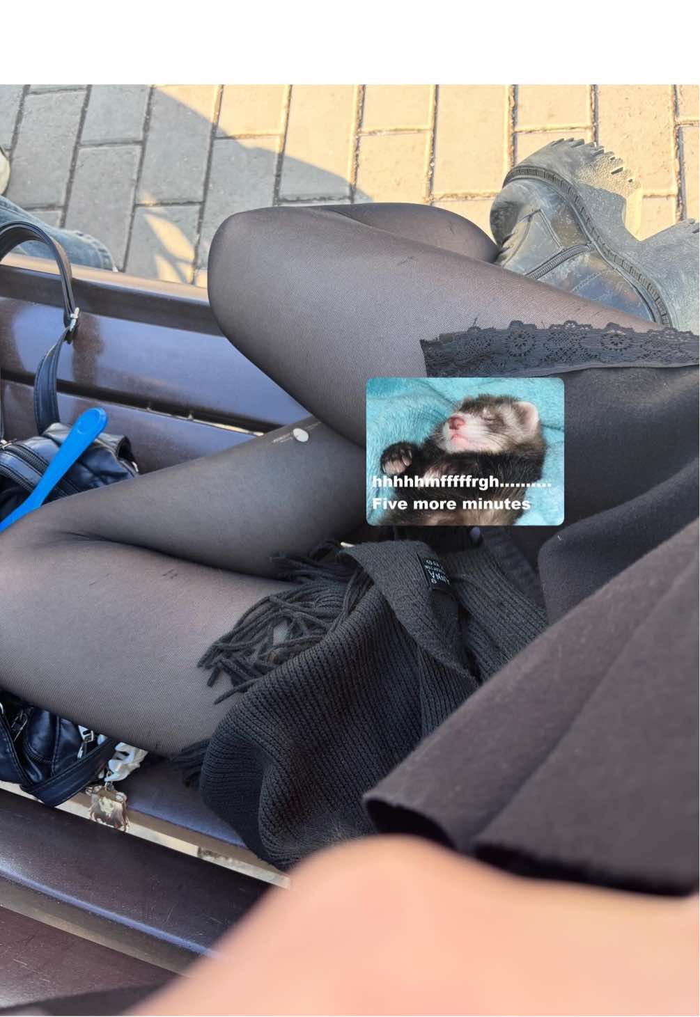 @геля мизогин