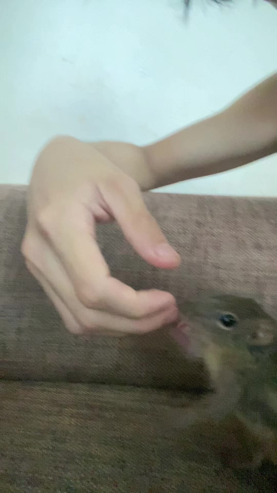 @dangvothanhgiau