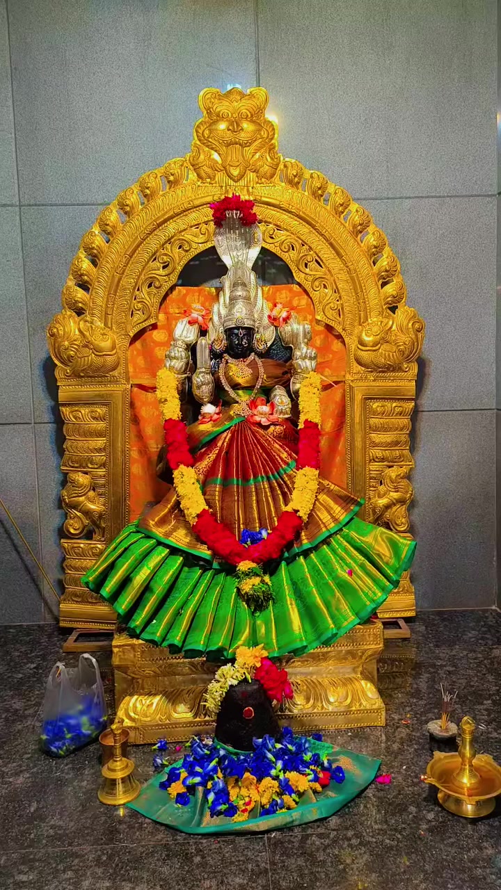 @shashanth Bharath
