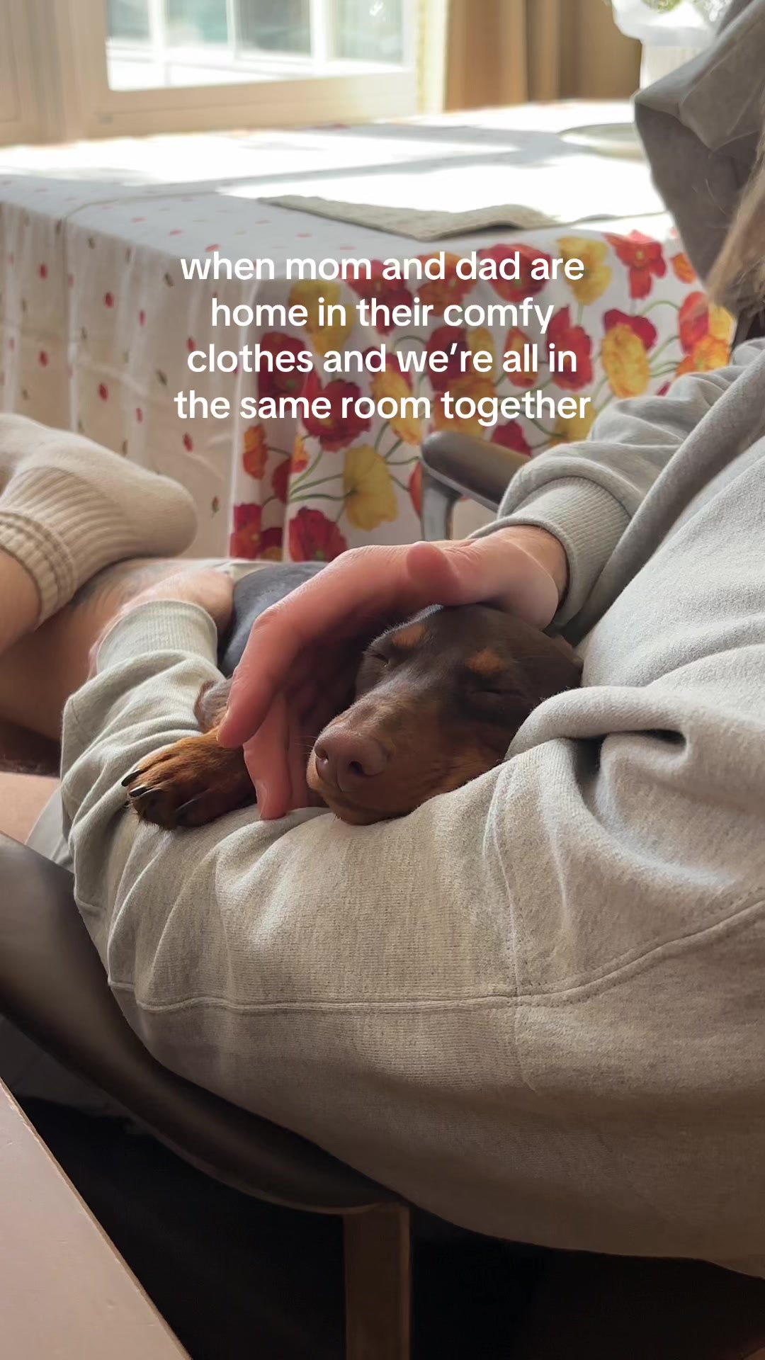 @rhubarb the doggo