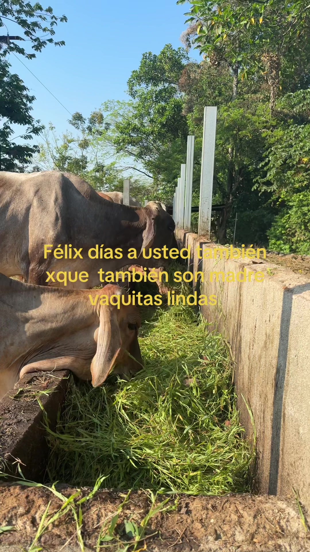 @Rancho.la Gloria… PB