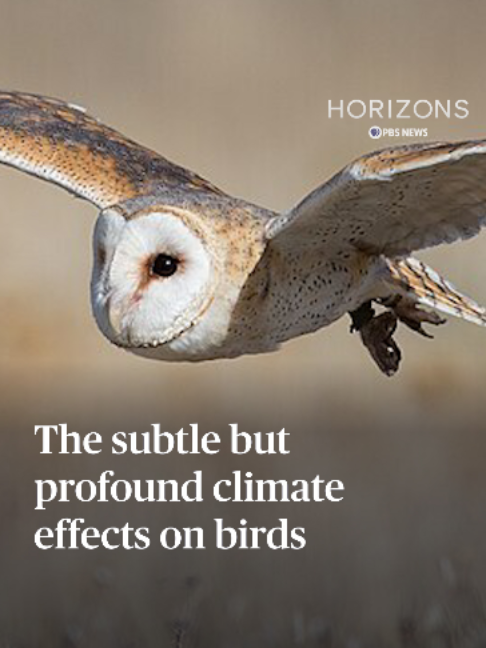 @pbsnews