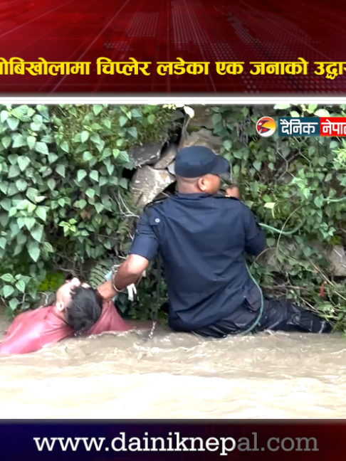@दैनिक नेपाल