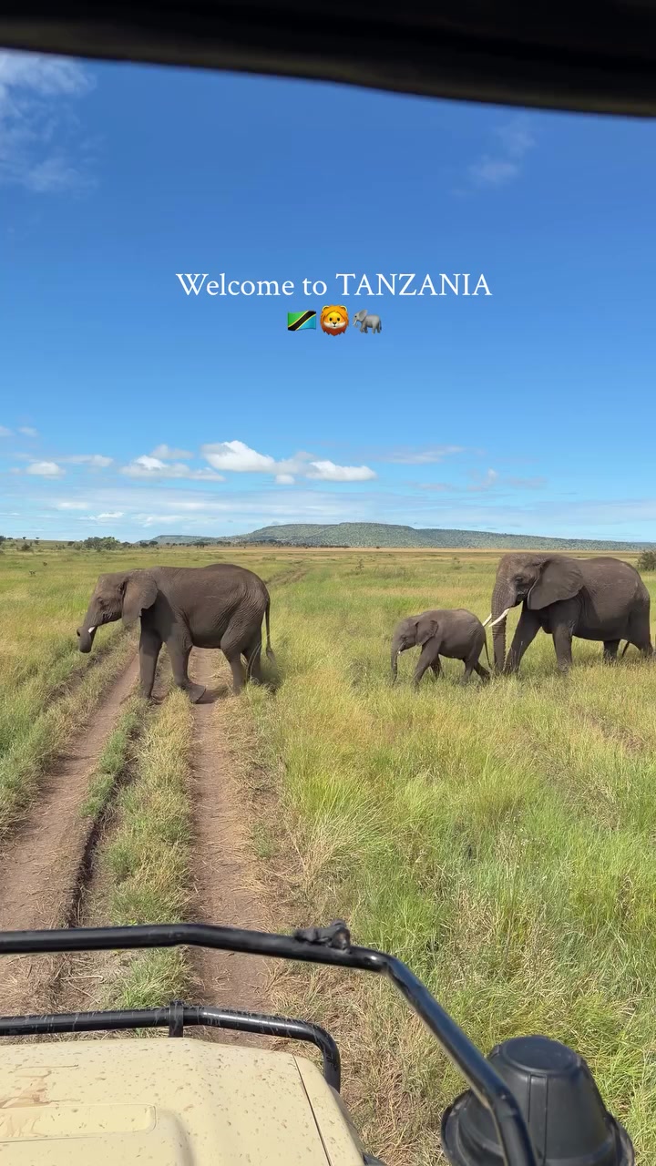 @Zanzibar 🇹🇿