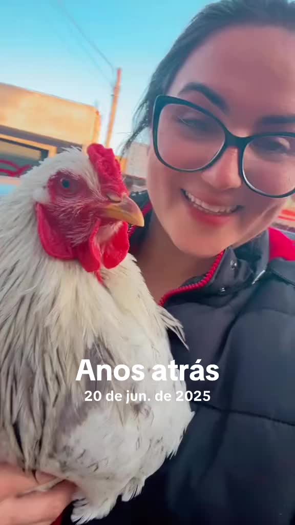 @Galinhas da Brandão 🐓🐣🐥🪿🥰