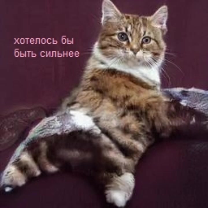 @Пепел