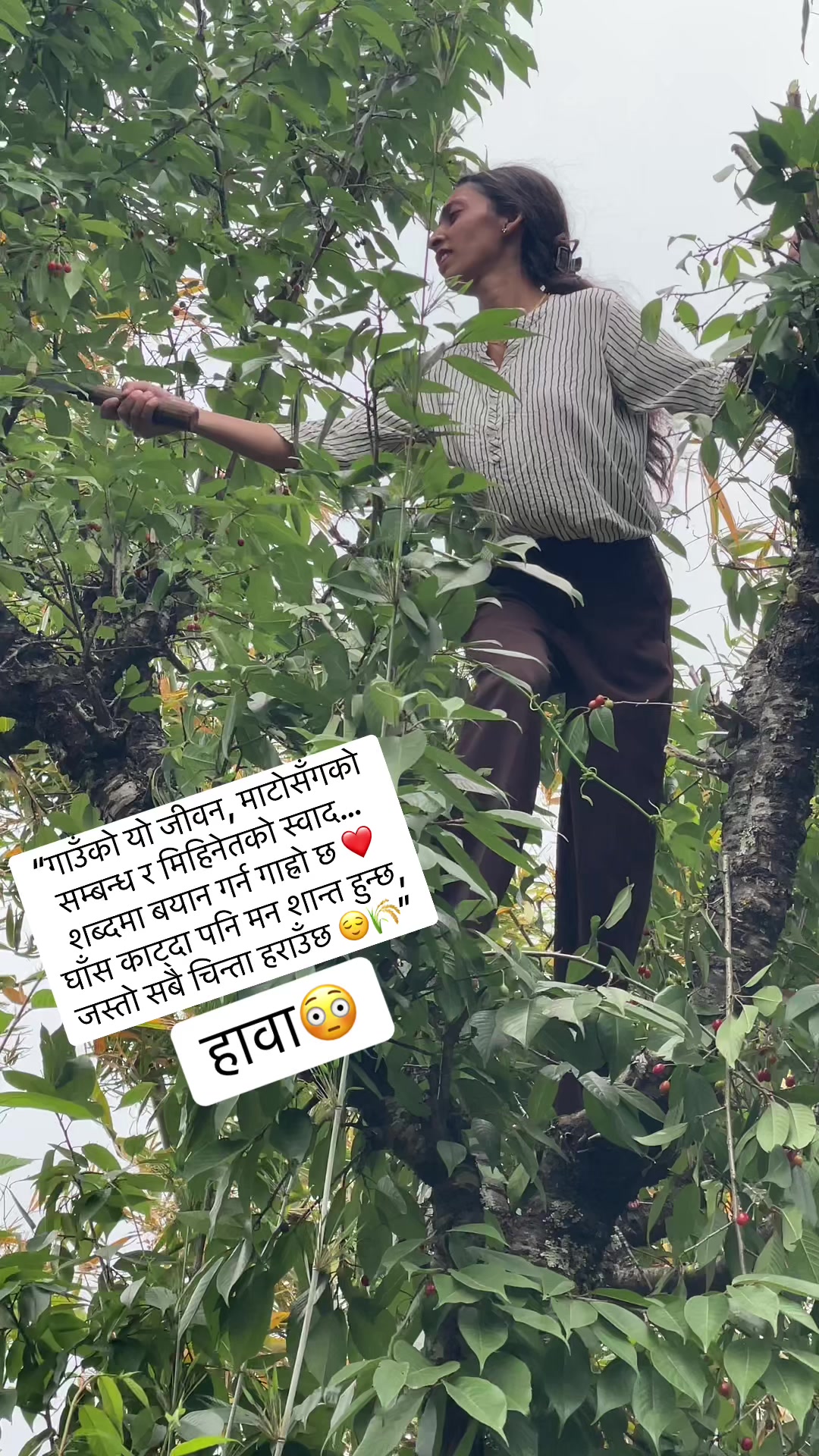 @Pabitra Acharya😊