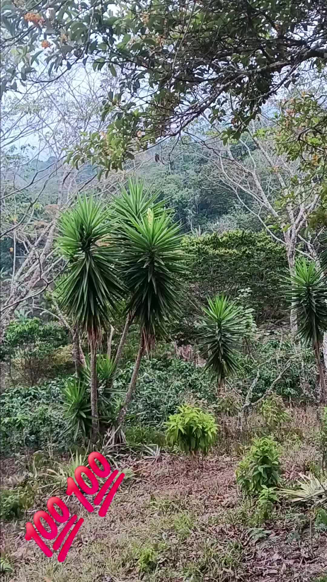 @la millonaria gracias a Dios