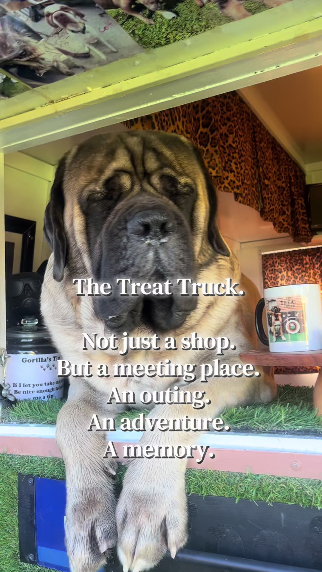 @thetreattruckwa