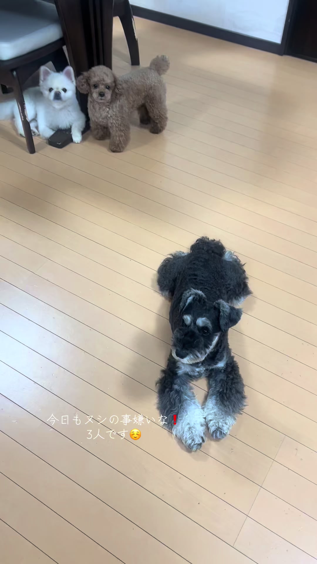 @タカ0826@@
