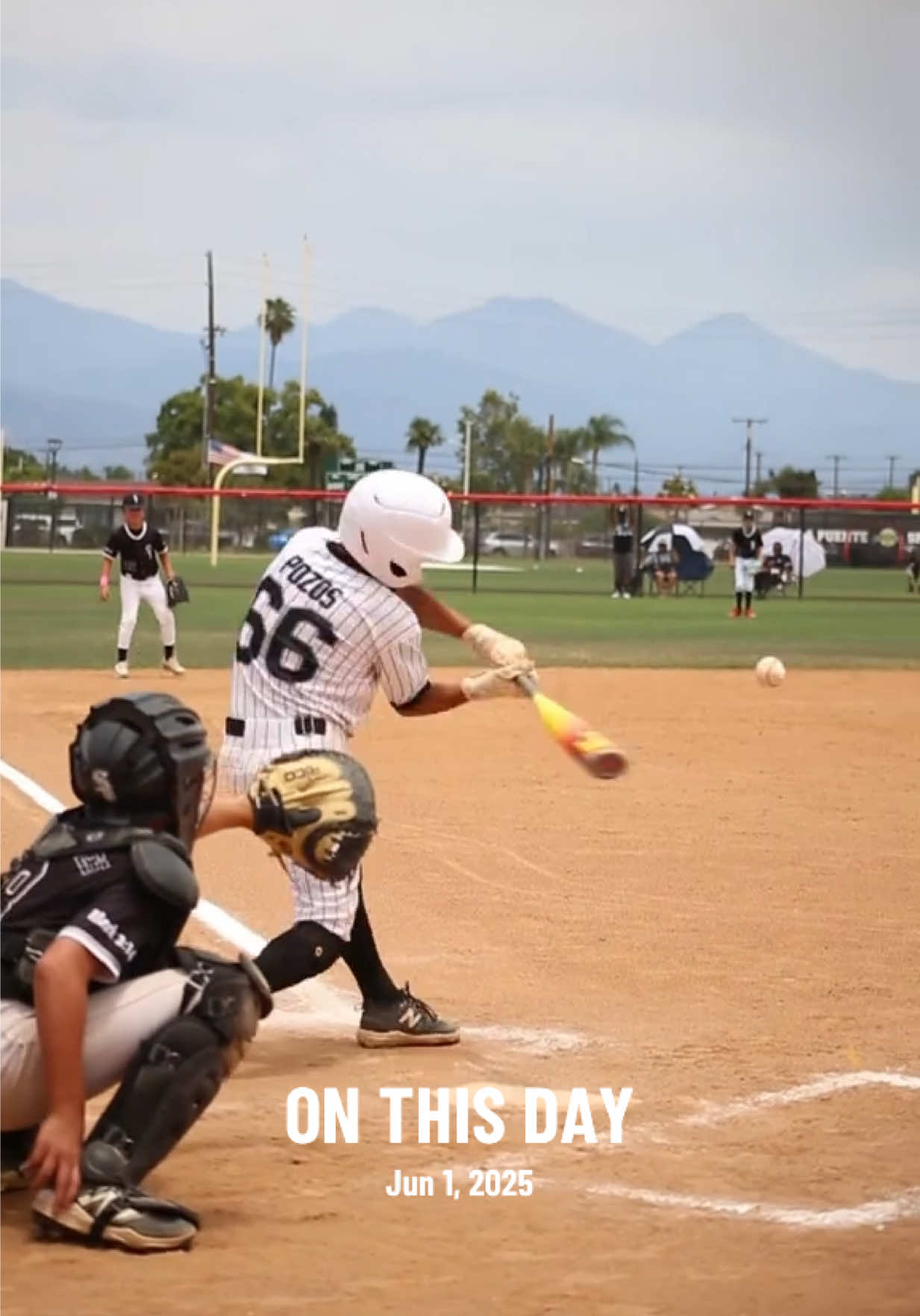 @wcblackdogs.ie