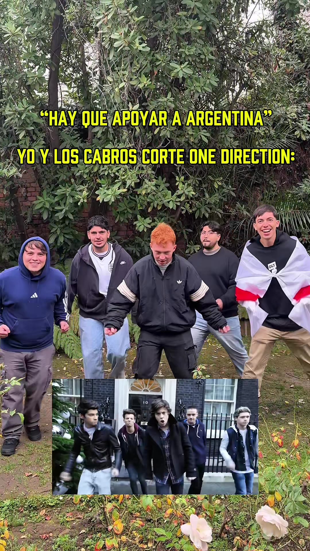 @dltsports
