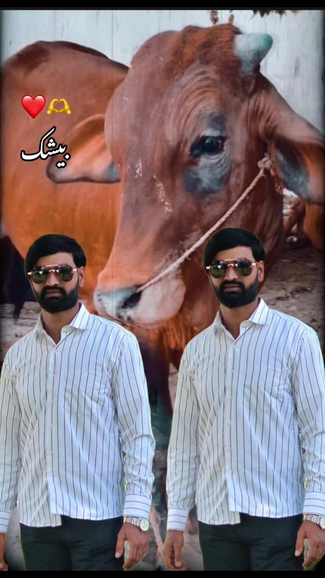@Dr👑Malik✌️2.0