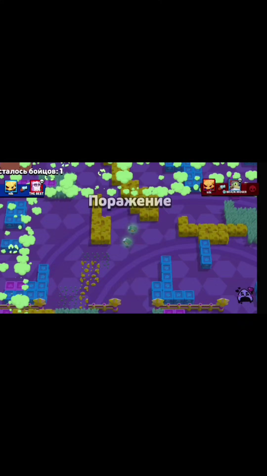 @Vzaimnaya podpiska