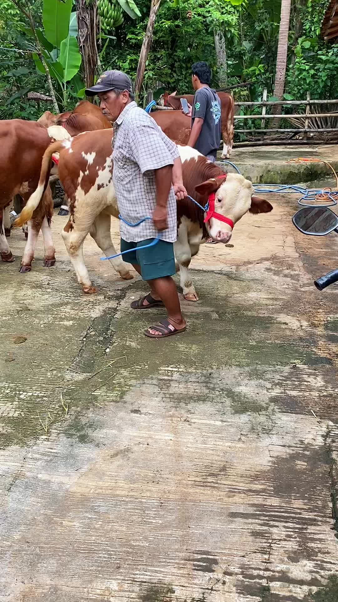 @Prasetya.