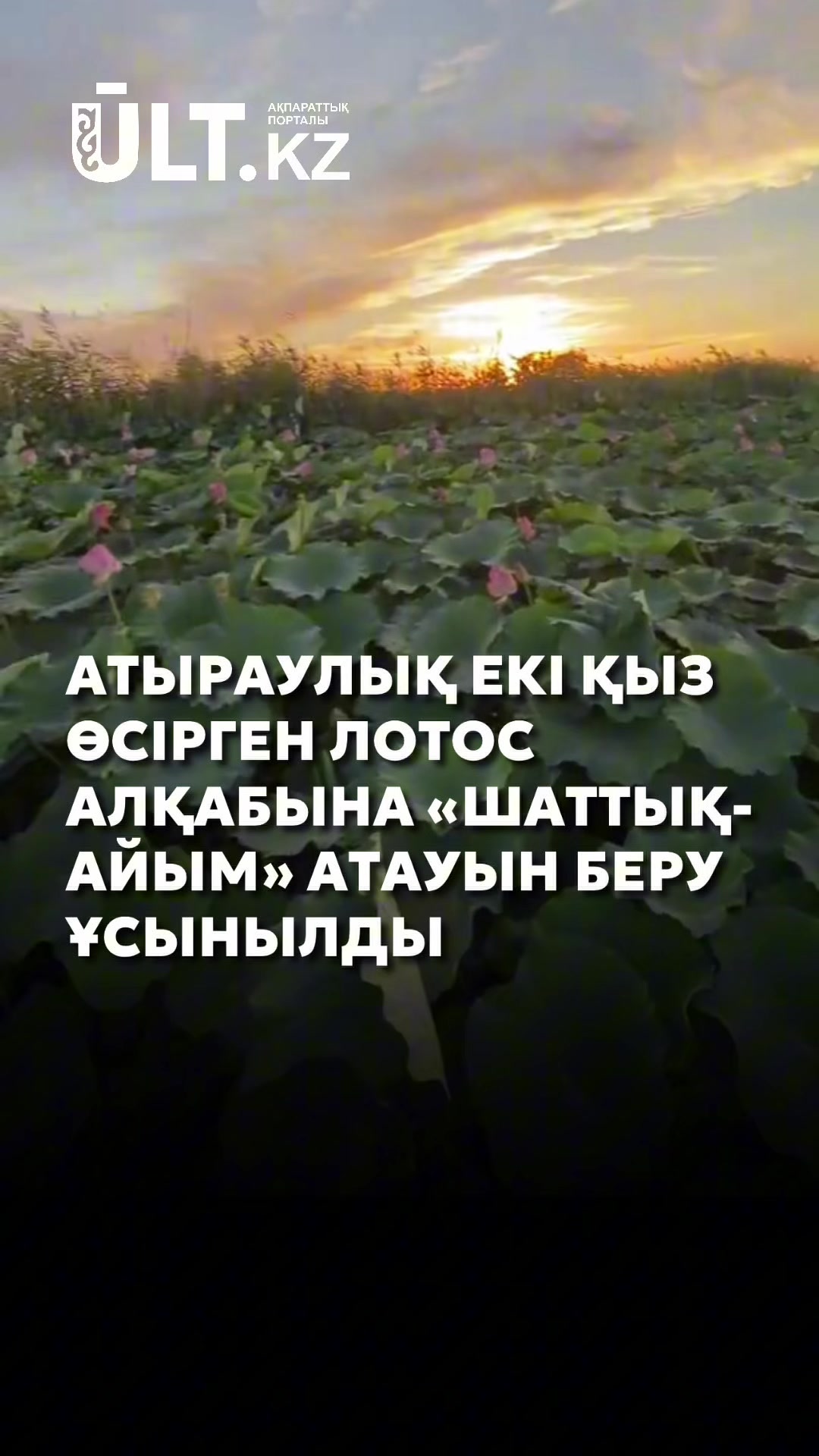 @ULT.KZ – ақпараттық портал