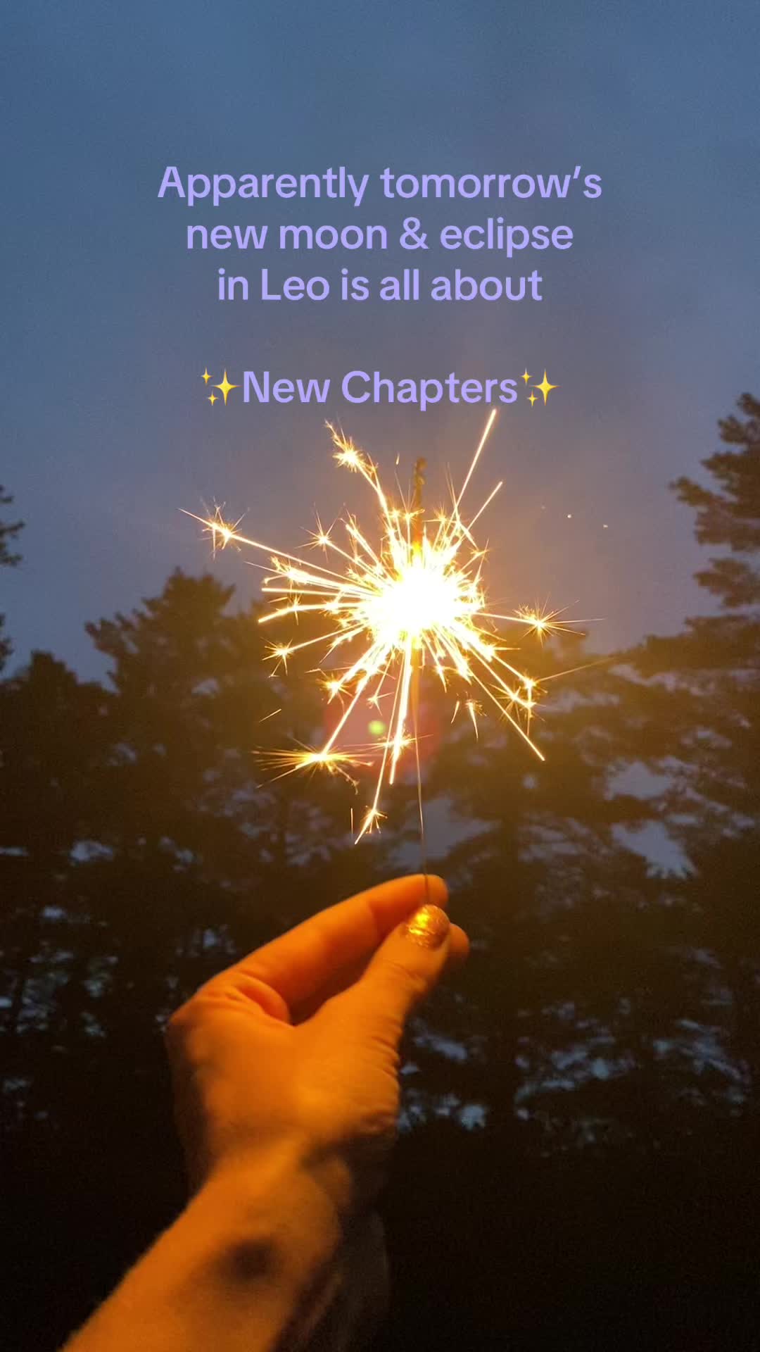 @New Chapter Inc