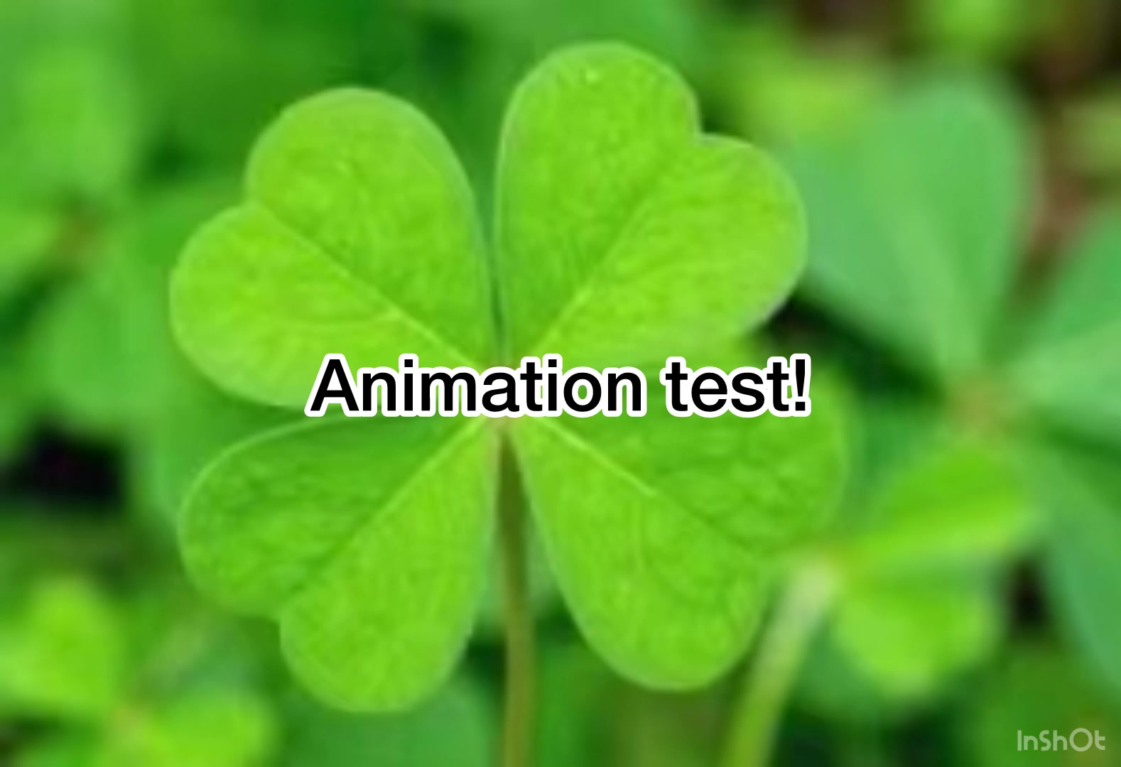 @Lucky da GOAT🍀✨🇻🇮☪️✍🏽😛🍀✨