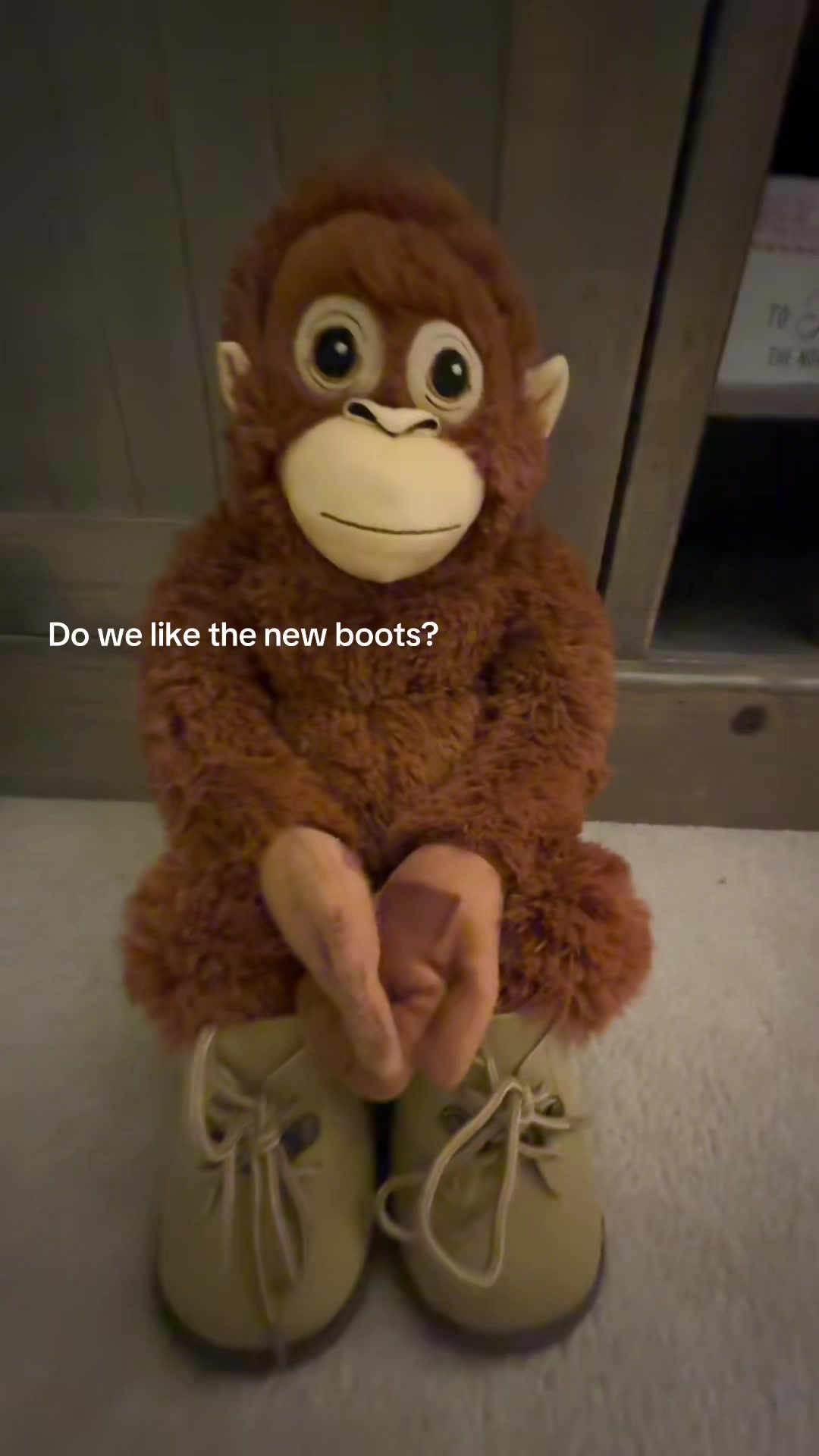 @Ziggy 🐵