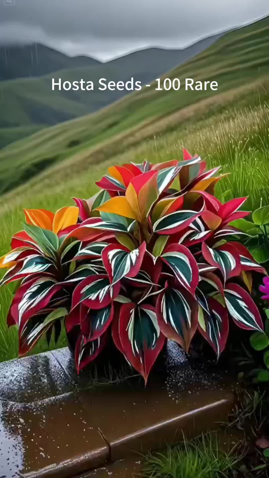 @user34428154563091
