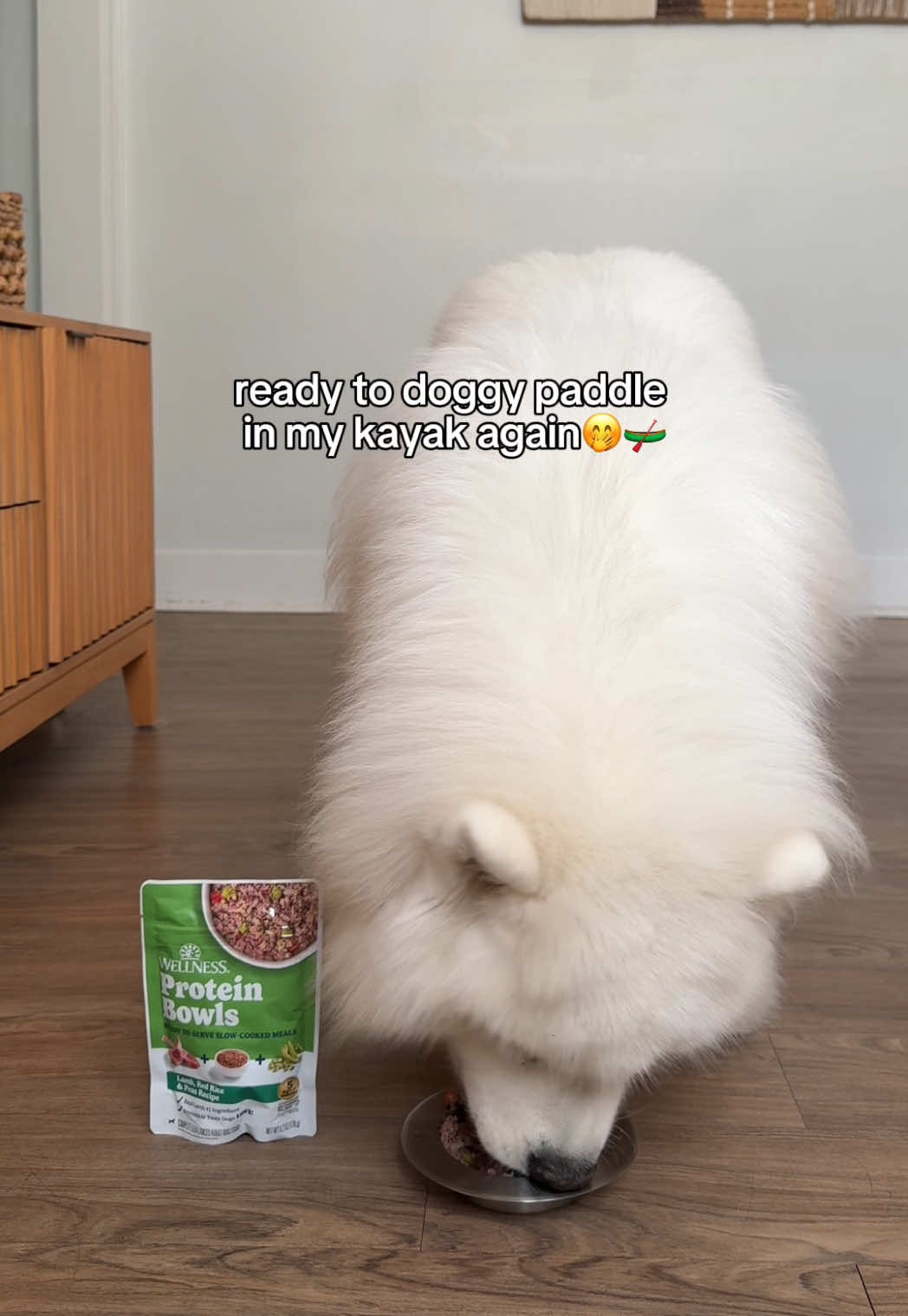 @Biff the Samoyed